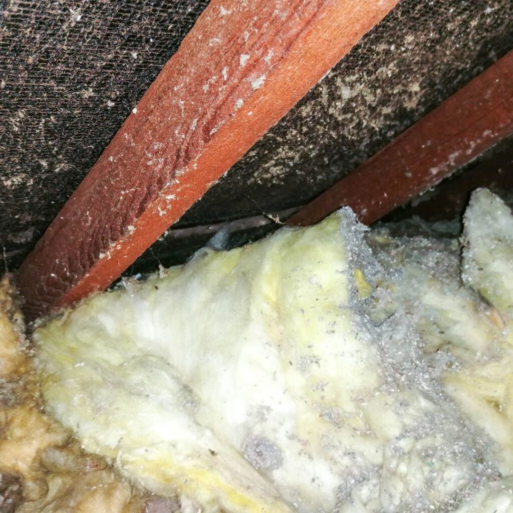 Asbestos Concerns: Key Tips for Choosing a Skip Hire Service