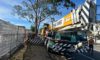 Crane-Assisted Tree Removal Case Study in Edgeworth