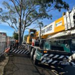 Crane-Assisted Tree Removal Case Study in Edgeworth