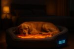 Temperature-Controlled Beds for Pets: Your Comfort Guide