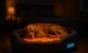 Temperature-Controlled Beds for Pets: Unmatched Comfort Solutions