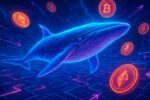 Whale Wallet Monitoring Techniques for Effective Tracking