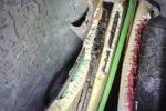 Electrical Faults: Dealing With Ants, Rats, and Mice in Properties