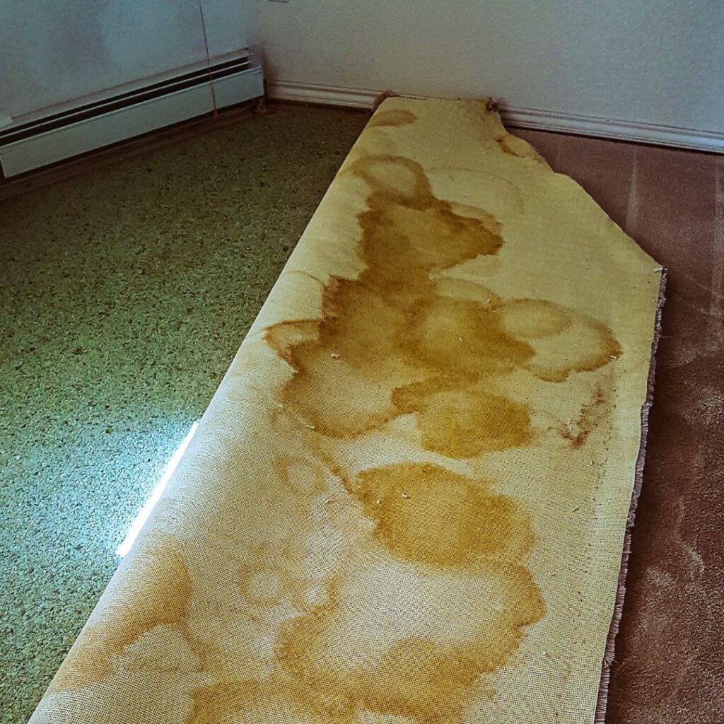 Carpet and Underlay Disposal Made Easy in Sydney