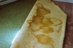 Easily Dispose of Carpet and Underlay in Sydney