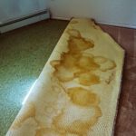 Carpet and Underlay Disposal Made Easy in Sydney