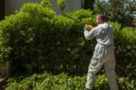 Green Waste Solutions: 4 Effective Disposal Methods