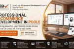 E-Commerce Development for Small Businesses in Poole