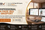 On-Page SEO Tips for Small Businesses in Bridport
