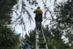 Electrical Defect Notice: How to Respond on the Mid North Coast