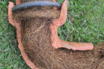 Tree Roots in Drains: The Ongoing Challenge in Sutherland Shire